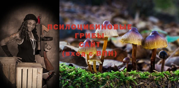 бутират Алзамай