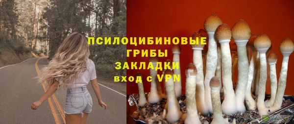 бутират Алзамай