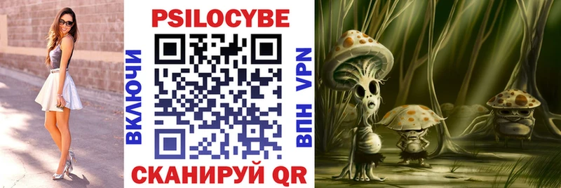 Псилоцибиновые грибы мицелий  Омутнинск 