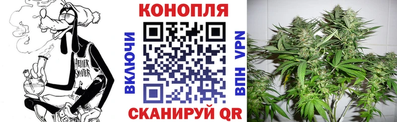 цена Омутнинск Бошки марихуана индика